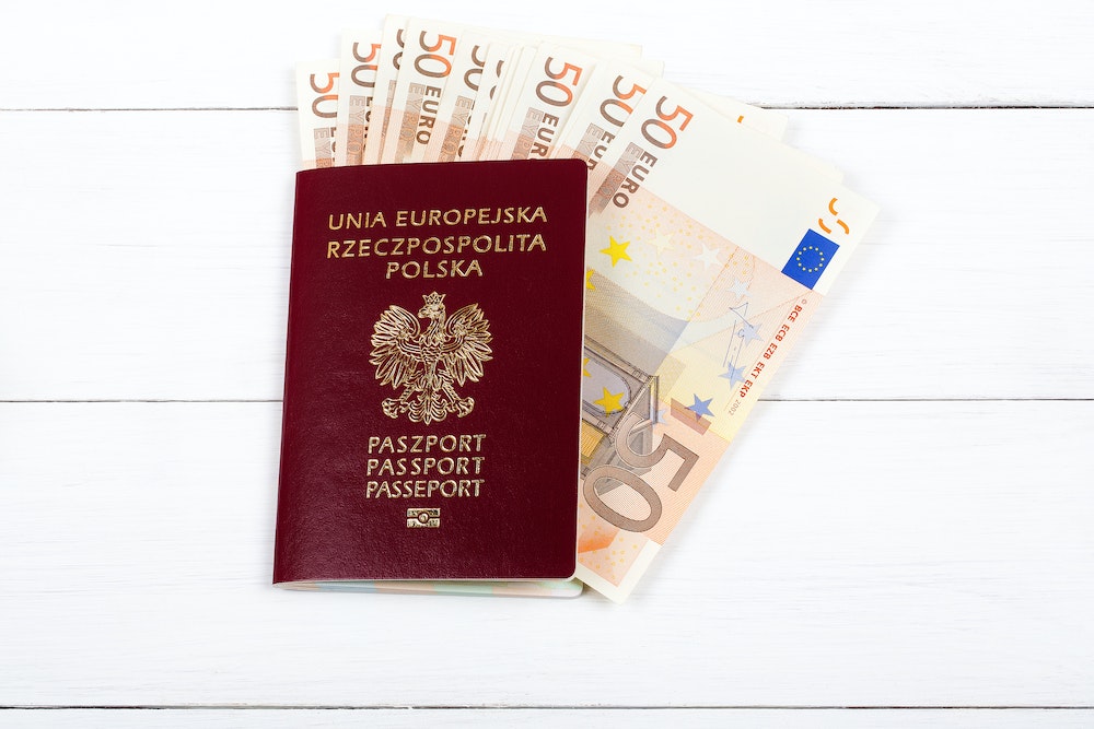 La demande de naturalisation face à la protection des minorités ethniques