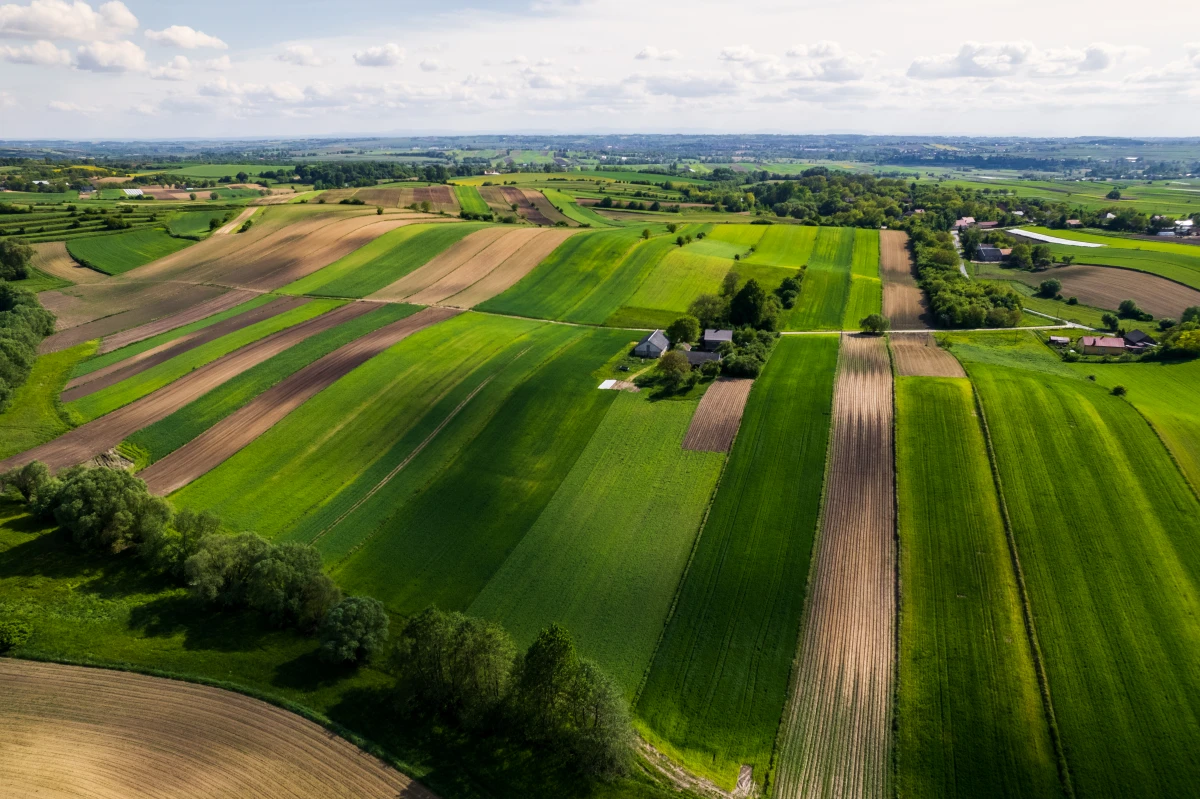 Le bail rural et le statut du fermage : piliers de l'agriculture française